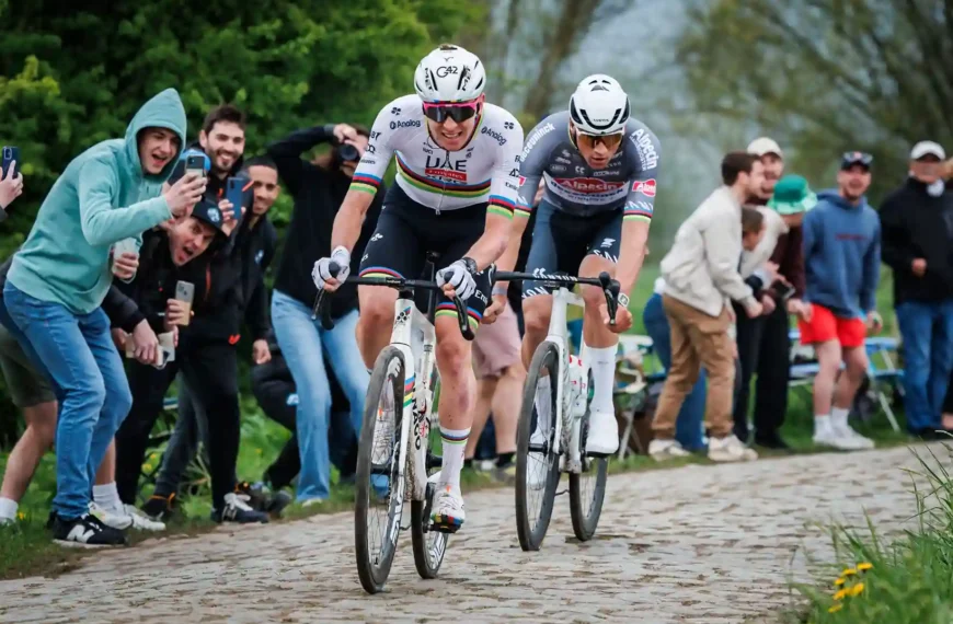 Tadej Pogačar de vacas: «Quiero volver a luchar por la Milán-San Remo y la París-Roubaix»