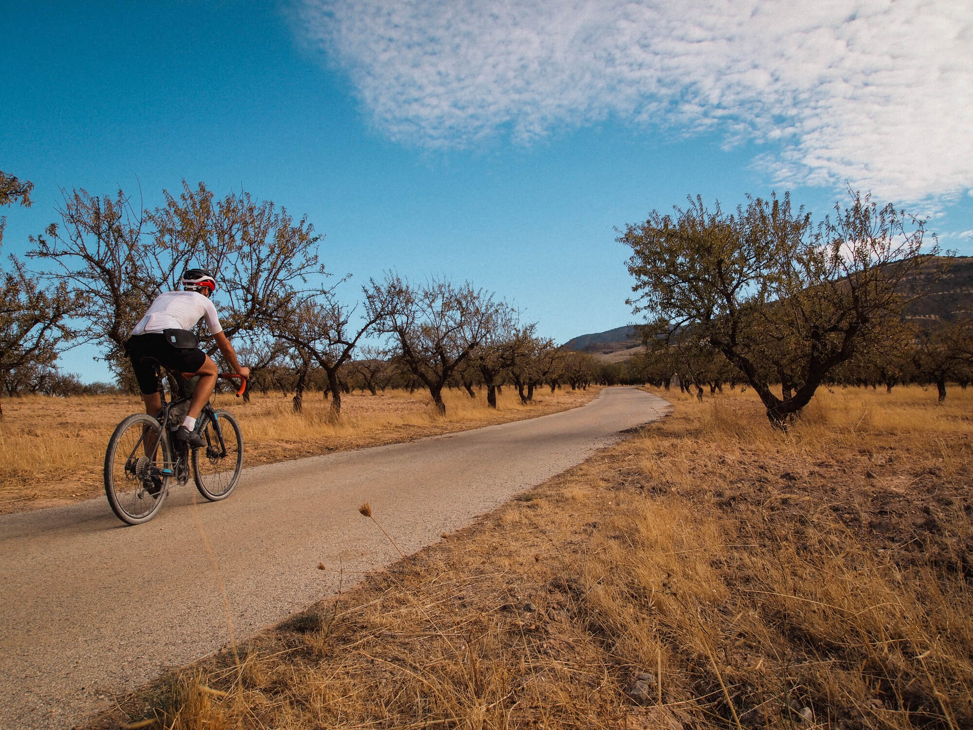 Utopia Gavel Fest 2026